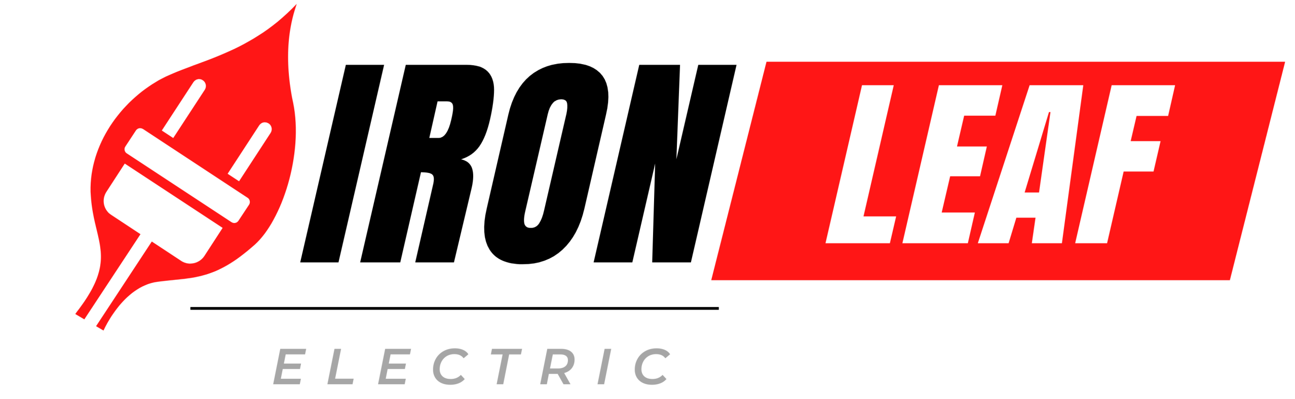 Iron Leaf Electric