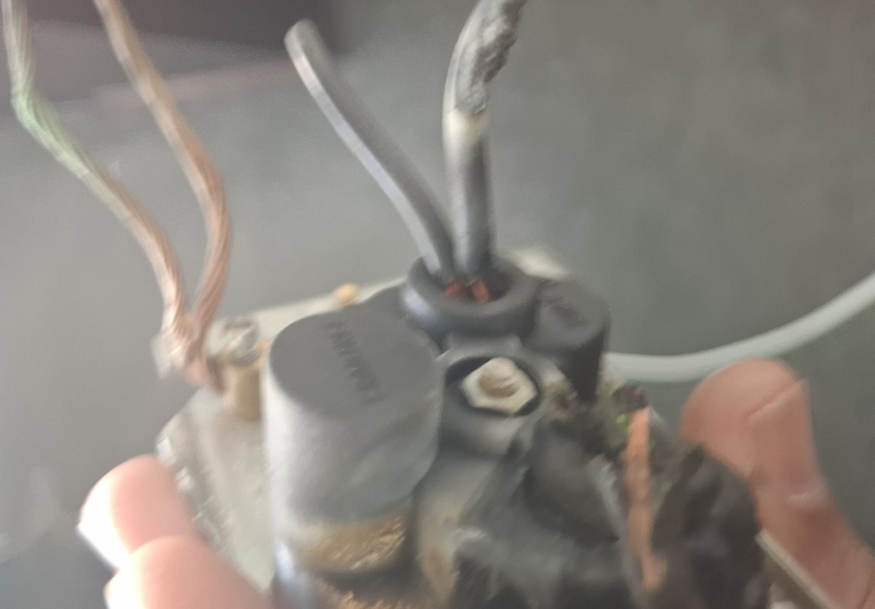 Charred conductor tips exposed after removing the failed connector